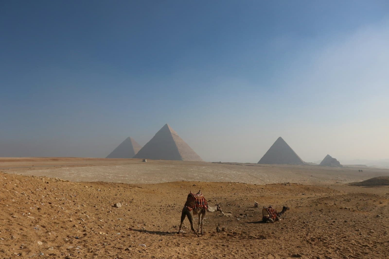 مسافرين ماشيين على الرمل قدام أهرامات الجيزة